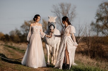 Two beautiful brides in a light dress posing. Boho style. Photo shoot with a horse.