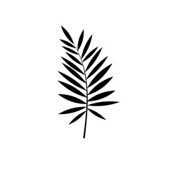 Exotic tropical leaf icon. Palm glyph design. Vector stock illustration for poster and card