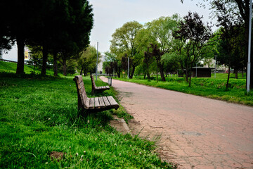 Street bench made of wood existing in public park with green grass and walking way for the people who makes sports activity near the small river and there is no one due to lock down for covid 19
