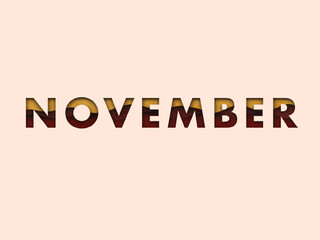 November_months of the year	