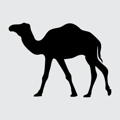 Camel Silhouette, Camel Isolated On White Background