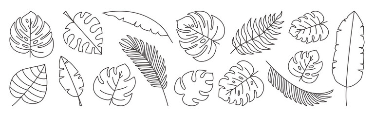 Tropical leaves vector line set, black palm leaf outline doodle design isolated on white background. Editable stroke. Nature exotic illustration