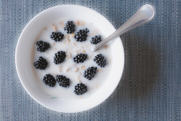 Bowl with instant oats, milk and blackberries on a gray background
