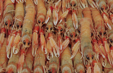 shrimps on the market