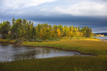 Swedish autumn fall vibrant landscape, Kurravaara in Norrbotten county, Kiruna Municipality, Northern Sweden
