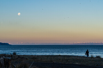 Fototapeta premium moonrise at the beach
