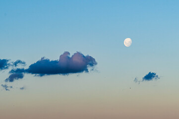 moon in the sky
