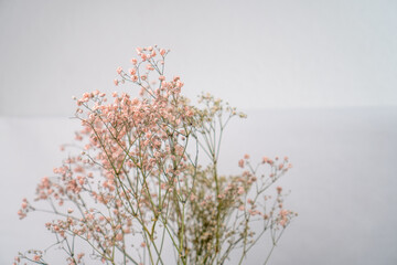 bouquet of stylish white and pale pink dry flowers on wall background