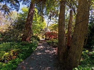 Public grounds of Finnerty Gardens in Victoria BC during rhododendron bloom 