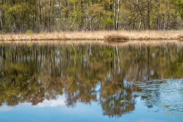 Heideweiher Naturschutz-und FFH-Gebiet Fürstenkuhle, Gescher
