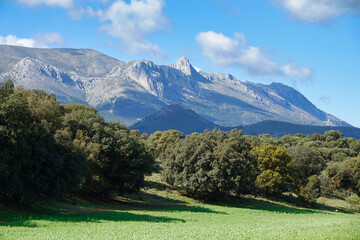 Agricultural landscape with hills and mountains in Andalusia (Spain)