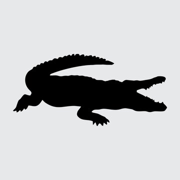 Crocodile Silhouette, Crocodile Isolated On White Background