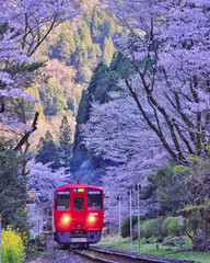 桜で出来た門を通る真っ赤な電車