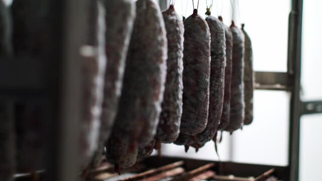 Sausages hanging in a row at the butcher