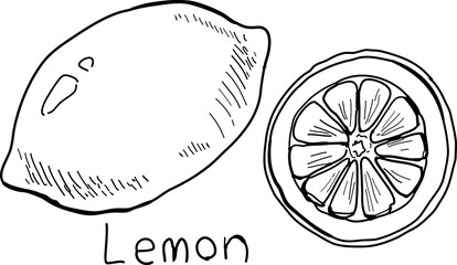 Hand-drawn pen drawing of two lemons.
