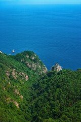 緑の岬と穏やかな海