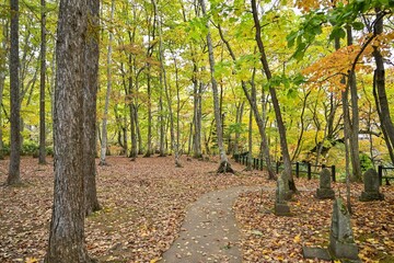 静寂に包まれた晩秋の公園の情景＠羊蹄山、北海道