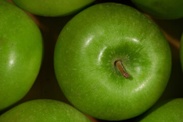 Fresh green apples from the orchard. Fresh food without additives