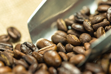 Fototapeta premium Coffee beans flowing out of scoop