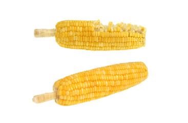 Bitten corn isolated on white background with clipping path