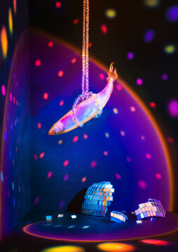 Fish with shiny scales in place of a broken disco ball, smelt in celebration still life, party concept