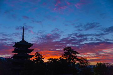 奈良　興福寺　五重塔と朝焼け　横位置