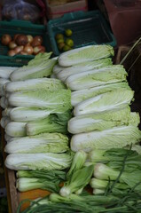 Heaps of Chinese cabbage in the market.