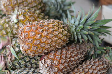 Ripe pineapple that is placed for sale.
