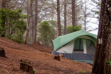 tent in the woods