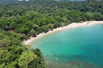 Paradise tropical white sand beach with palm trees