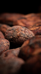 close up of cacao beans