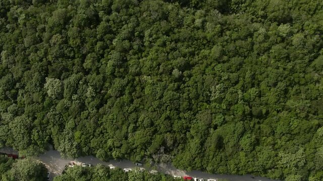 Aerial Top View Of Vehicles On Road Amidst Green Trees, Drone Flying Forward Over Landscape On Sunny Day - Tulum, Mexico