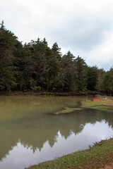 Fototapeta na wymiar reflection at the lake