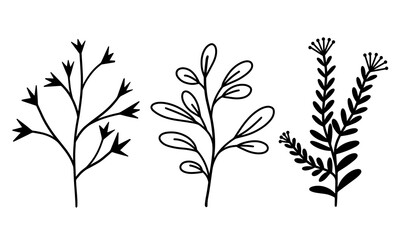 Set of vector botanical elements branches with leaves and grass. Hand drawn doodle style plants. Herbs with inflorescences and berries. Isolated objects on white background
