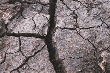 Deep cracks in the ground. The dry ground cracked.