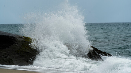 Olas
