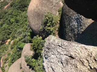 rocks in the forest