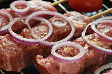 Raw Meat, Kebab for Barbeque with Onion Rings.