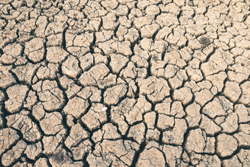 Landscape ground cracks drought crisis environment background.