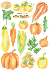 Yellow vegetables