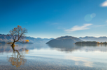 The lonely Wanaka tree on a quiet autumn morning