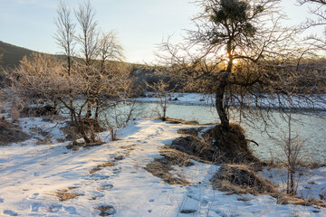 Frosty winter morning in nature, warm morning light on the background of snow, shrubs and trees in patterns of frost.