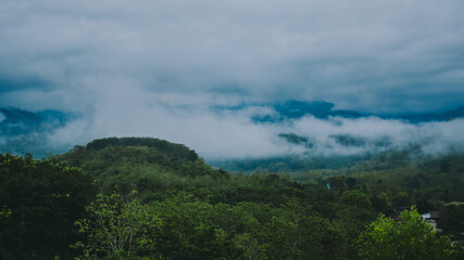 Fototapeta premium Mountains and fog.