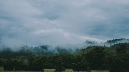 Fototapeta na wymiar Mountains and fog.