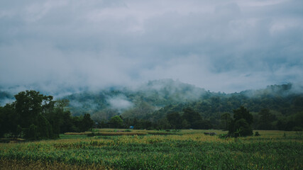 Mountains and fog.