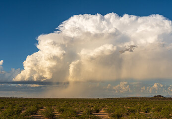 Naklejka na ściany i meble Supercell Thunderstorm before Sunset in the Arizona Desert