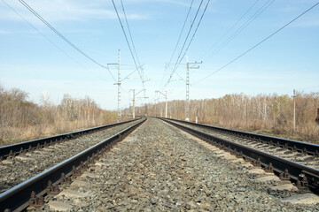 Railway tracks, the rails go deep into the forest.