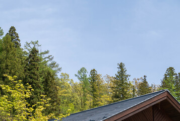 屋根と新緑の山の木と空