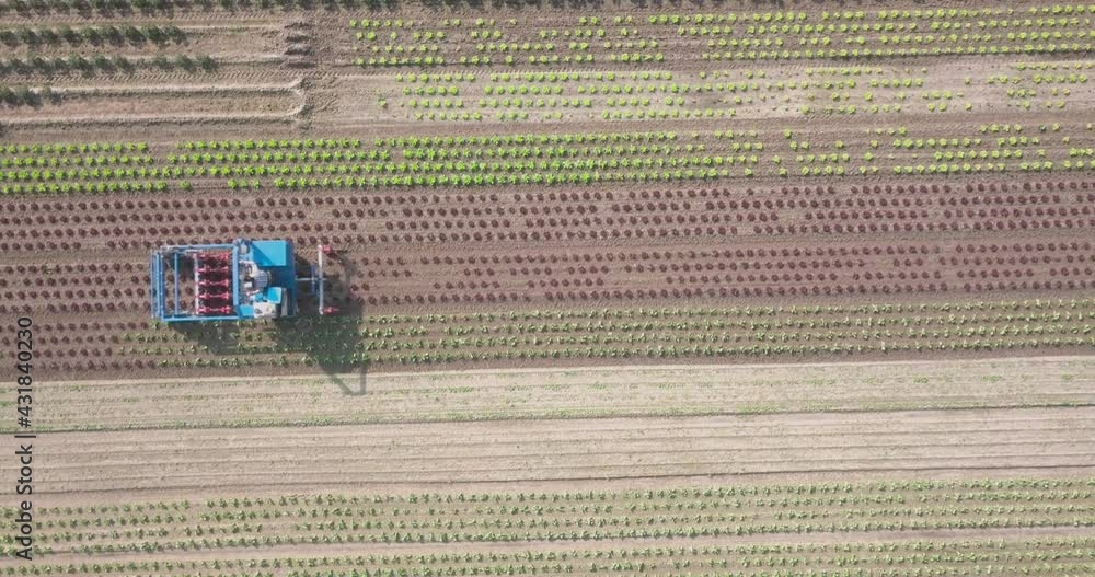 Poster drone shot of farm worker using weeding machine on a plantation field.