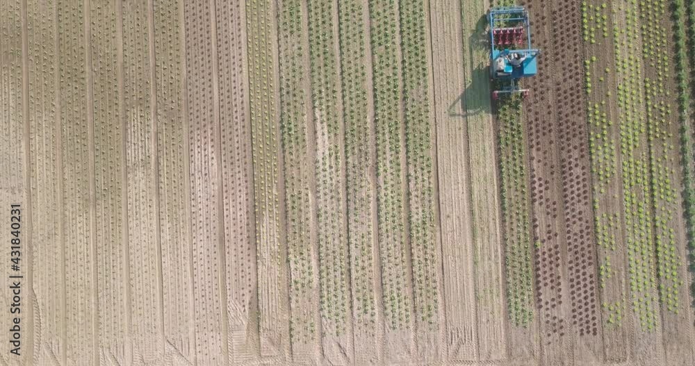 Poster drone shot of farm worker using weeding machine on a plantation field.